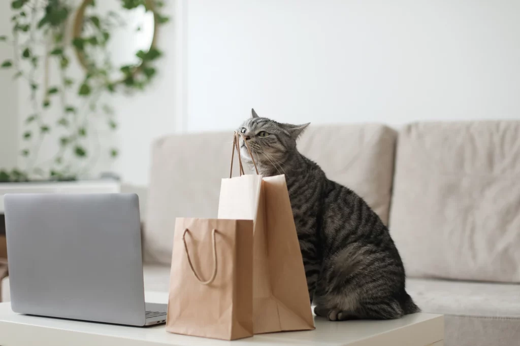 Gato junto a bolsas de papel y una laptop en una sala, representando la venta de artículos del hogar, mascotas y juguetes